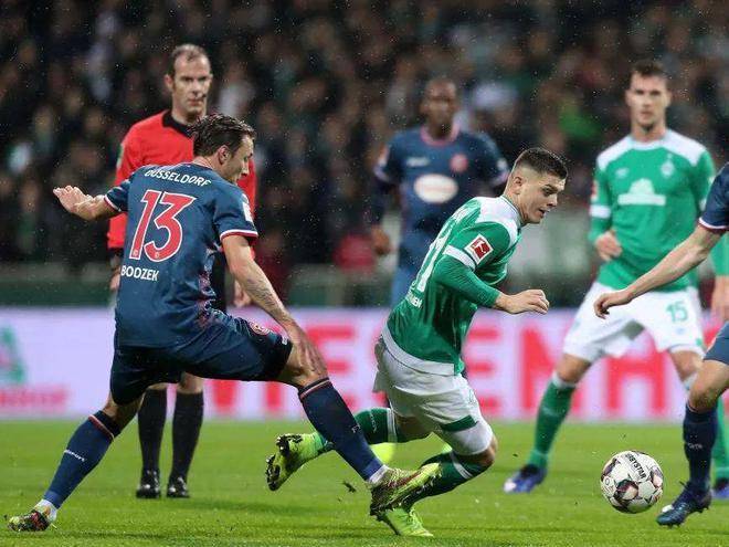 莫斯的帮助 莫斯的帮助