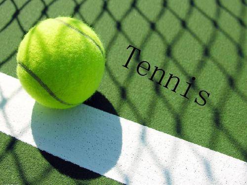 获得成功 获得成功