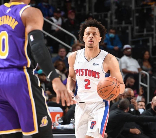 多功能特质 多功能特质