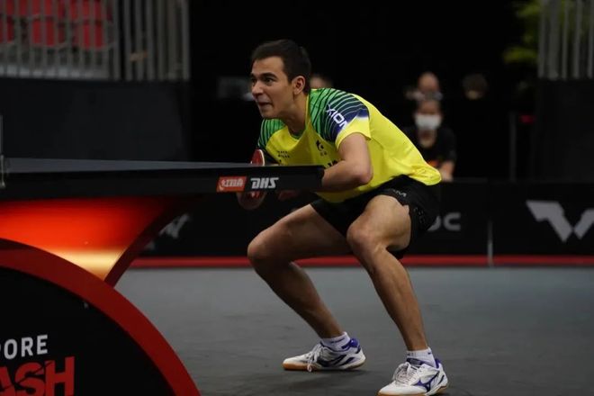 明尼苏达森 明尼苏达森